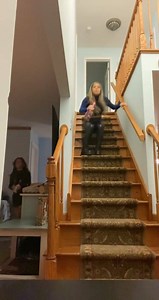 37K views · 144 reactions | When you forget how to STAIRS!! This ever happen to you?! Funny Videos Want to be featured? Message us videos you filmed to be featured on the page! | Funny Videos | Facebook