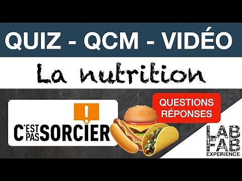Quiz - MCQ - It's not rocket science - Nutrition