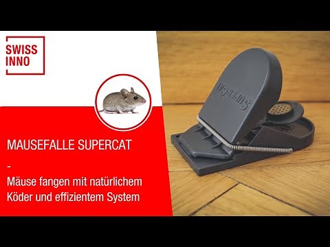 Mausefalle Supercat SWISSINNO