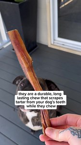 Pet Snacks® dental chews are tough, long-lasting, and actually help clean teeth. Use code PET25 to get 25% off your first order. ⭐⭐⭐⭐⭐ "My dog is a chewing machine, and can devour most things in a short amount of time. These keep her going for hours on end! Great for her teeth, and being a single ingredient protein, great for her health." ~ 5-star review from Wayne in Melbourne ✨ CLEAN teeth with FRESH breath 🥩 Single ingredient 🐶 100,000 Happy customers 🇦🇺 Australian made & owned | Pet Snac