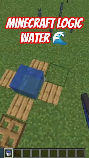 #birdtrend Minecraft Logic Again? 🤯 | #Shorts