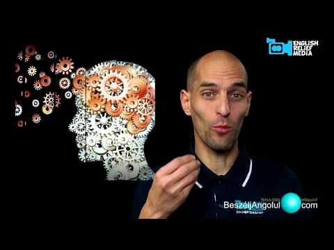 Angol nyelvlecke kezdőknek: 40 nyelvi gyakorlat