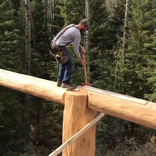 1.7M views · 46K reactions | Hammer time with Rob CarterIf you...