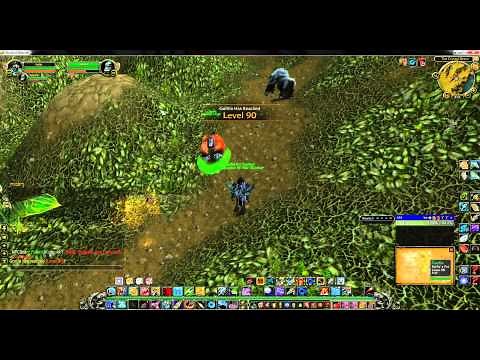World of Warcraft rare hunter pet locations - The Cape of Stranglethorn