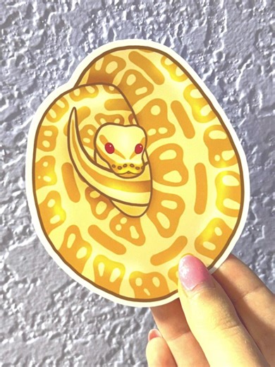 Sticker Python-ball albinos - Etsy France