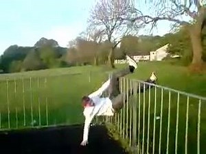 Another swing and fence jump calamity... | Chicken Feed