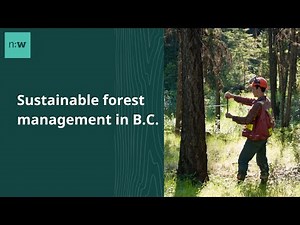 Sustainable Forest Management in B.C.