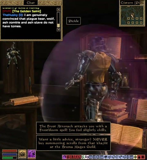 Morrowind MMO - Player Built Mages Guild? [Player Housing] #mmo #morrowind #shorts