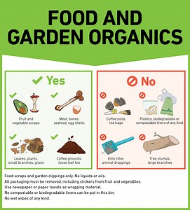 Get to know your FOGO service