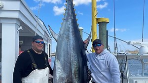 After 4-hour fight, 2 fishermen land 718-pound giant bluefin tuna off Manasquan coast