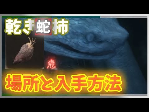 【SEKIRO攻略】乾き蛇柿の入手方法解説