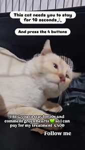 201K views · 6.9K reactions | ⚠️ A mass near the cerebellum that...