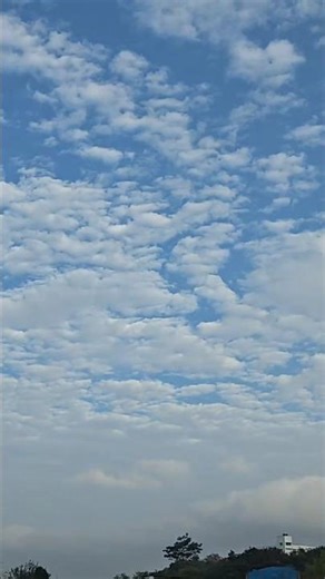 kannada songs kannadaold songs kannada movie songs ytshort youtubeshorts