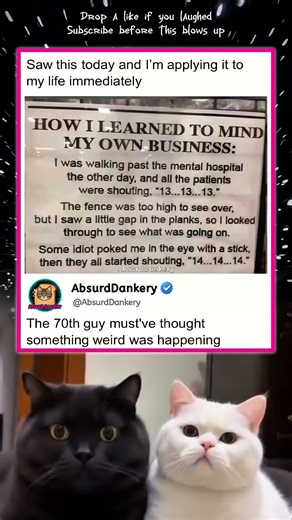 How to mind your own business #AbsurdDankery