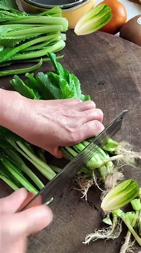 Asmr 7013 mini rotary tillage and ridging all-in one tree 🌲 short view #travel #beach #flowers