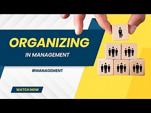 Organizing is The Building Block for Successful Organizations - How to Do It Right?