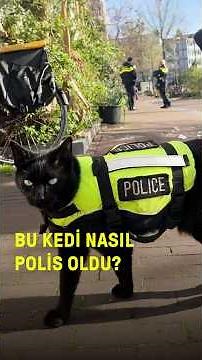 Bu kedi nasıl polis oldu?
