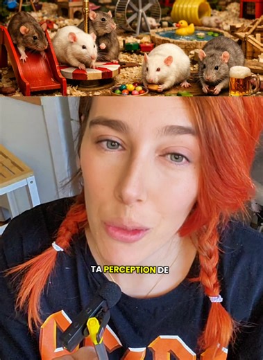 tu es d'accord avec cette théorie ? et la neuroplasticité sert justement a ça