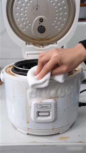 Rice Cooker Cleaning Revolution: 1 Easy Step to a Fresh Cooker