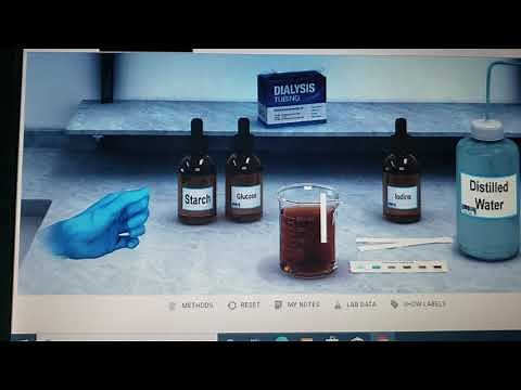 McGraw Hill diffusion across selectively permeable membrane tutorial