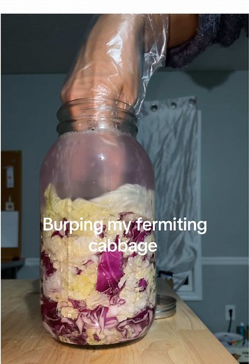 Burping Fermenting Cabbage: A Kimchi Journey