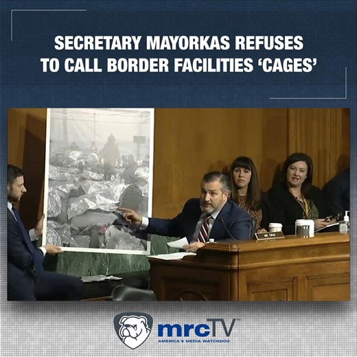 27K views · 533 reactions | Even when confronted with pictures of the Biden border "cages" by Sen. Ted Cruz, Alejandro Mayorkas refuses to acknowledge them as such. | MRCTV | Facebook