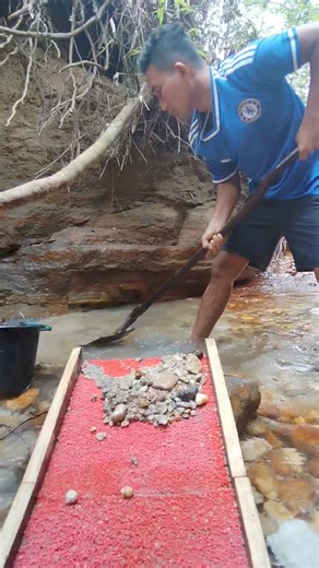 Searching for gold in tropical rivers using traditional methods #searchingforgold #mencariemasdisungai #mencariemas #sluicebox #goldpanning #goldprospecting #lookingforgold | Arsenio Gold Hunting