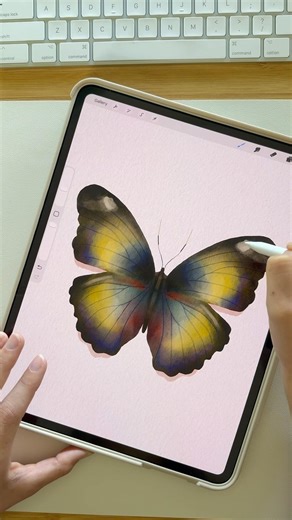 Procreate Butterfly Tutorial #procreate #beginnerarttips #digitalart