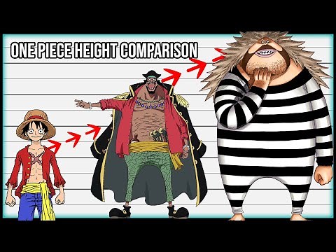 One Piece Height Comparison - 2023