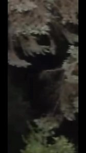 89K views · 2.6K reactions | “La Oscuridad Empezó a Hablar” videos completo en el canal de YouTube: TerrorAlExtremo #exploraciones | Terror al extremo | Facebook