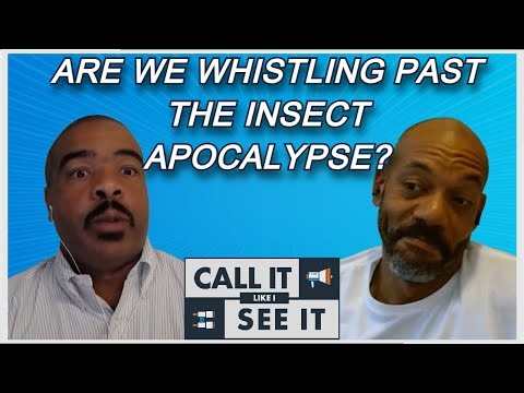 The Insect Apocalypse: Are We Making the Earth Less Livable?