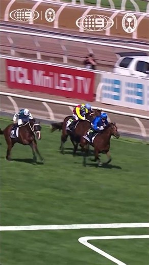 OBSERVER the incredible in the G1 Victoria Derby! 💙