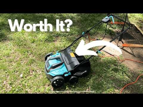 Lawn Hack! Best Budget Electric Dethatcher and Scarifier Review!