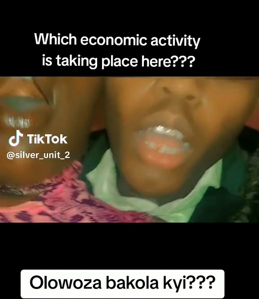 Economic Activities Unveiled: A Humorous Prank