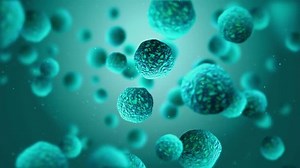 3d Render Bacteria Virus Moving Render Stock Footage Video (100% Royalty-free) 18236623 | Shutterstock