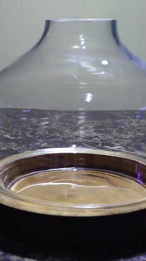 Creating a Pet Ant Terrarium in a Bottle