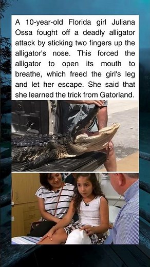 Florida Girl Fights Off Alligator with Life-Saving Nose Trick