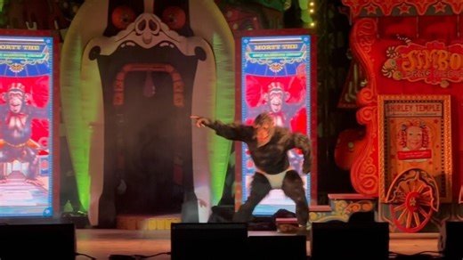 1K views · 31 reactions | IT’S NOT A CIRCUS without a sh*t slinging chimp. @jimbothedragclown is coming to your city with #jimbosdragcircus Get tickets and tour info at DragFans.com #mppresent #chimp #poop #circus #jimbo #ontour | Murray & Peter Present | Facebook