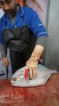 Best Techniques to Fillet Pompano Fish Perfectly