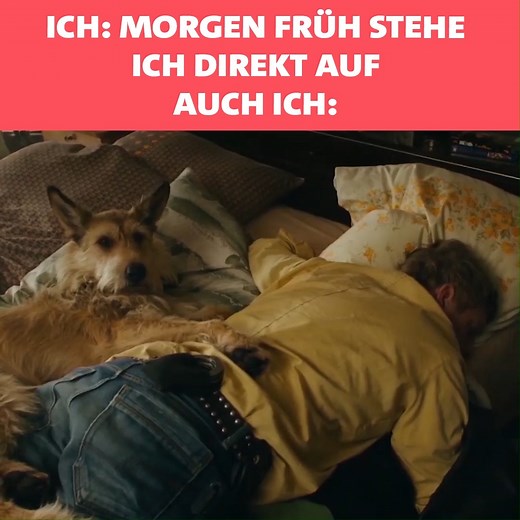 😴😴😴 Wenn einen nicht mal ein Sonderweckkommando aus dem Bett bringt ... ▶️ Der Eberhofer-Krimi "Grießnockerlaffäre" jetzt in der ARD Mediathek: 1.ard.de/griessnockerlaffaere | ARD Mediathek