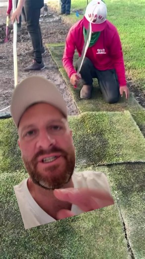 Never Lay Sod Without This Essential Prep Step