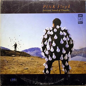 Pink Floyd - Delicate Sound Of Thunder