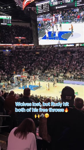 Celebrating Small Victories in Timberwolves Games
