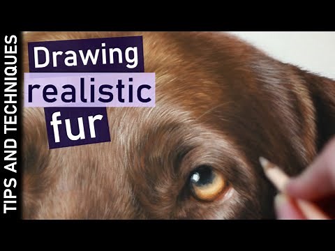 How to make your pastel drawings even more realistic | Chocolate Labrador drawing