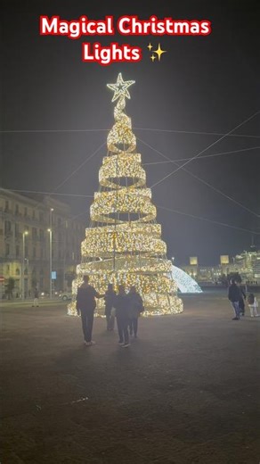 Beautiful Christmas Light Decorations