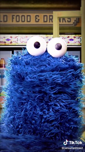 For what it’s worth, you were warm and delicious. #Cookie #CookieMonster #SesameStreet