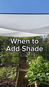 16K views · 151 reactions | Buy time with shade cloth! In a hot...