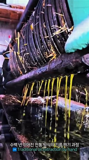 Traditional oil extraction by hand