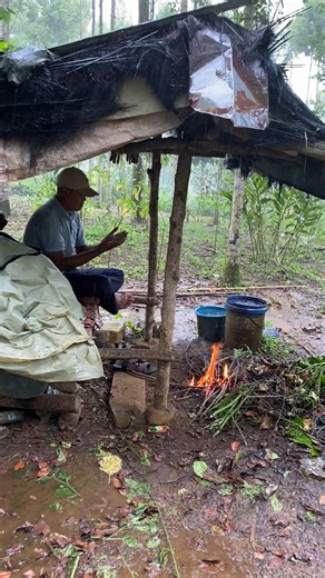 [ASMR] Morning Routine in a Traditional Bamboo Shack #asmr #cabinbliss #forestambience #nature