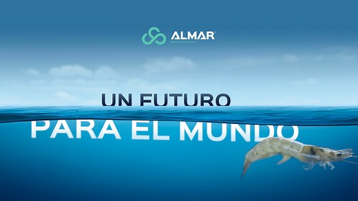 Nosotros – Grupo Almar